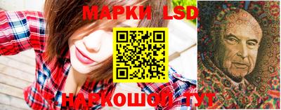 мдпв Гатчина