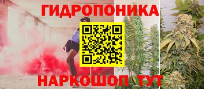 шишки Гагарин