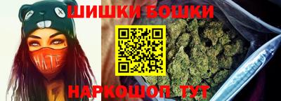 мдпв Гатчина