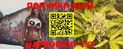 шишки Гагарин