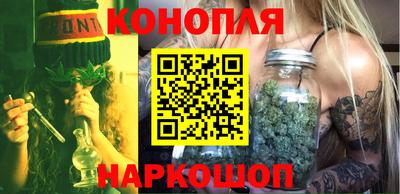 мдпв Гатчина