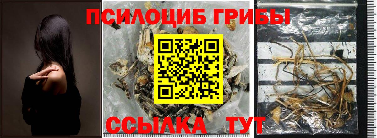 Галлюциногенные грибы Psilocybe  где продают   Назарово  Вход с VPN 